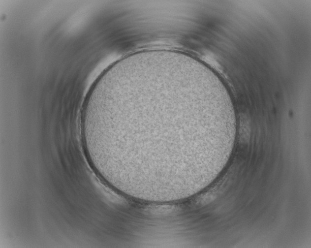 X0000061721474200512231356