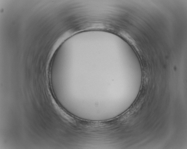 X0000061721475200512231356