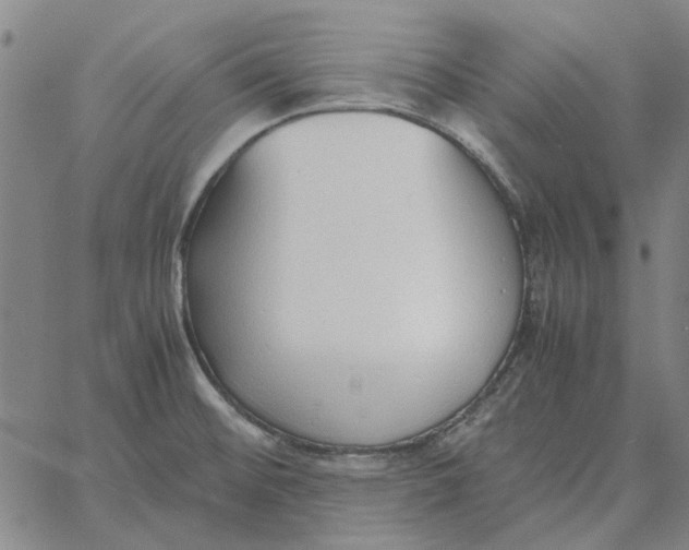 X0000061721476200512231356