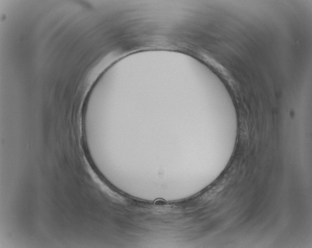 X0000061721479200512231356