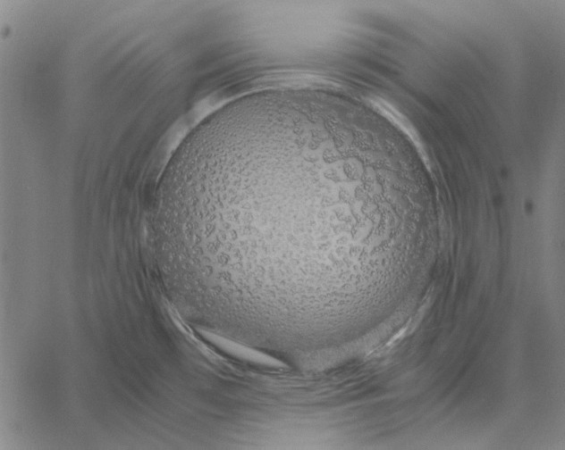 X0000061721481200512231356