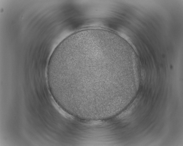 X0000061721482200512231356