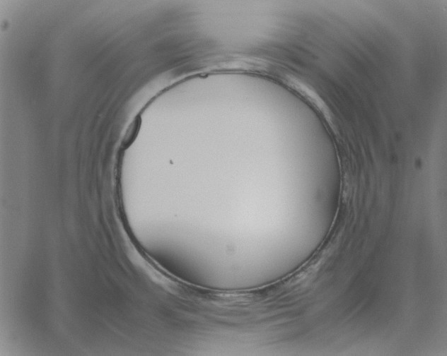 X0000061721483200512231356