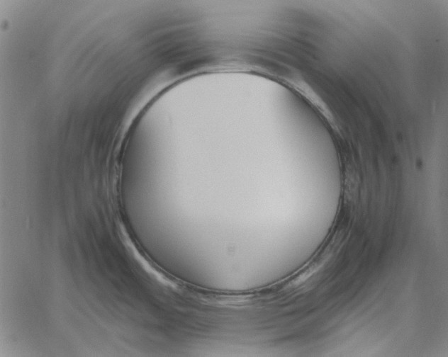 X0000061721484200512231356