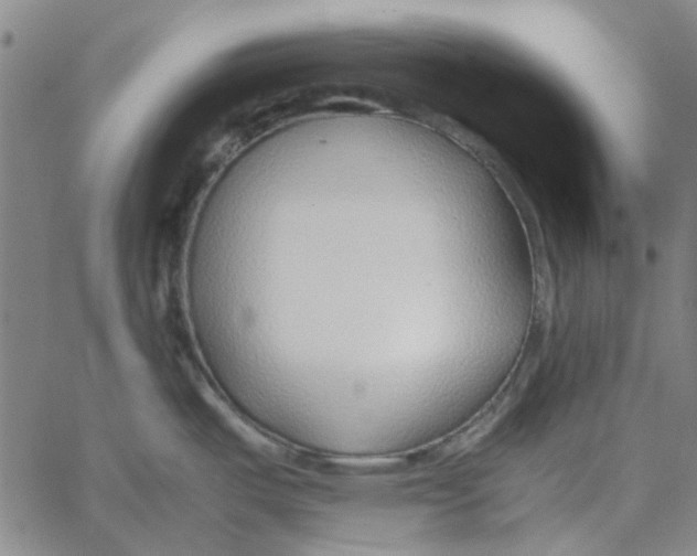 X0000061721487200512231356