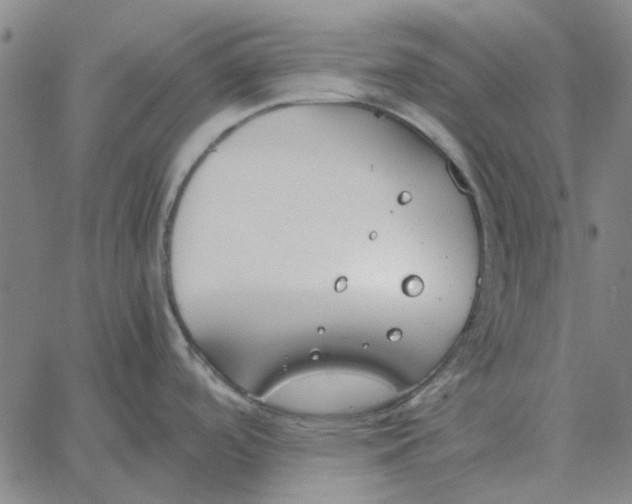 X0000061721488200512231356