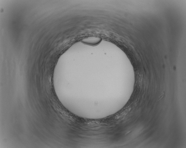 X0000061721489200512231355