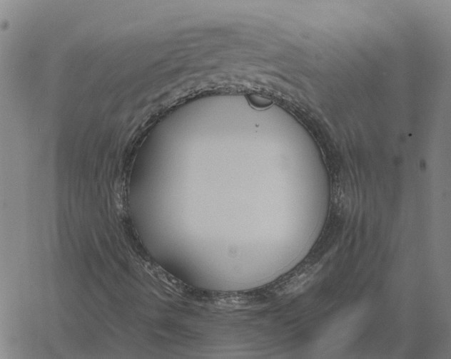 X0000061721490200512231355