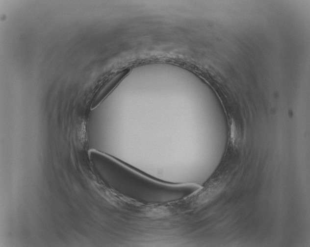 X0000061721492200512231355