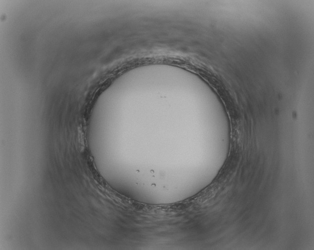 X0000061721493200512231355