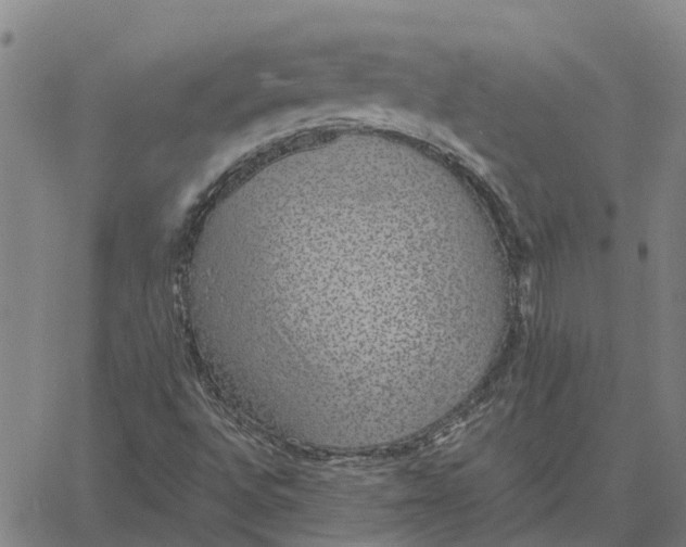 X0000061721496200512231355