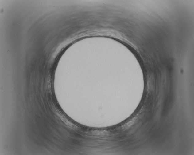 X0000061721498200512231355