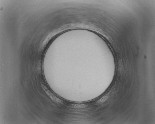 X0000061721499200512231355