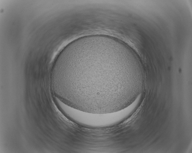 X0000061721500200512231355