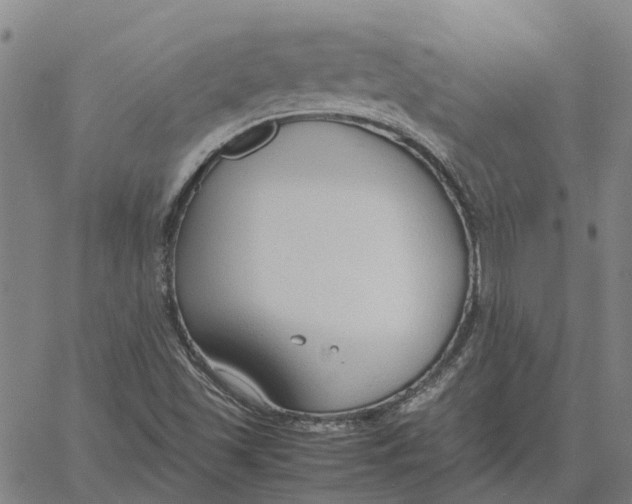 X0000061721501200512231355