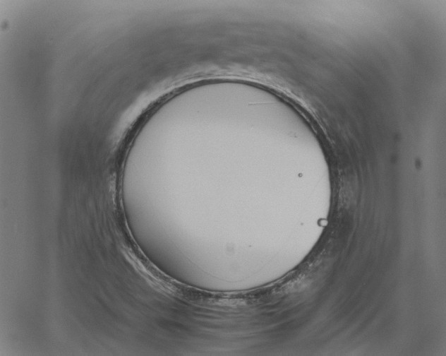 X0000061721503200512231355