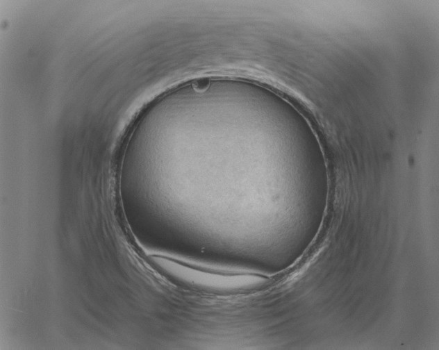 X0000061721506200512231355