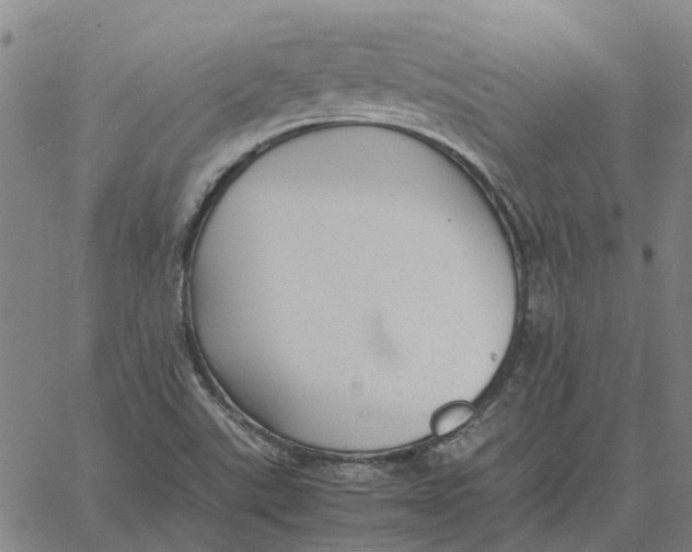 X0000061721507200512231355