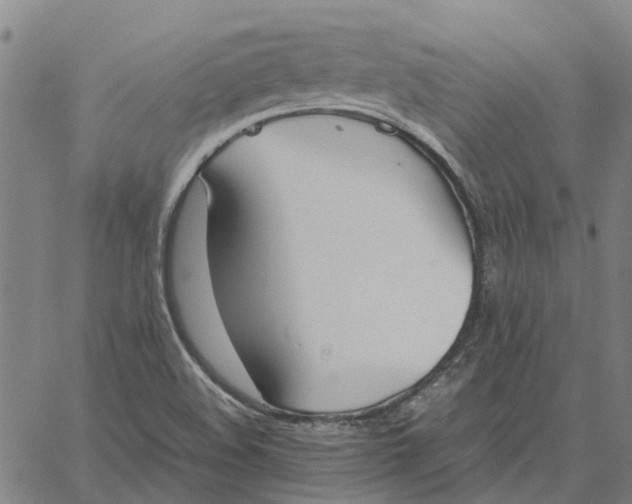 X0000061721508200512231355