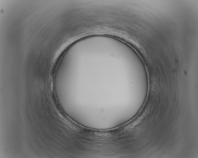 X0000061721509200512231355