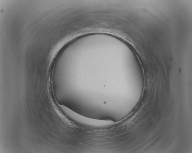 X0000061721511200512231355