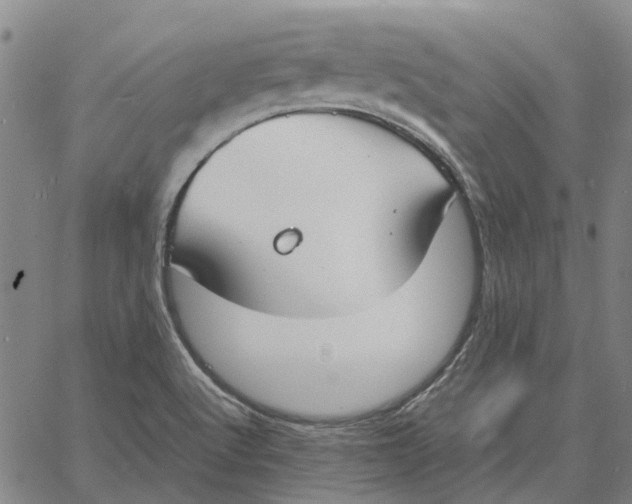 X0000061721512200512231355