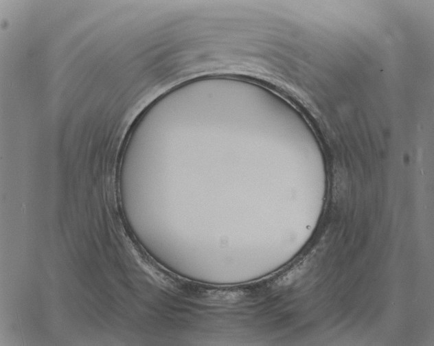 X0000061721513200512231355