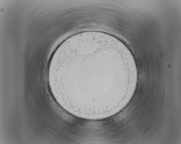 X0000061721514200512231355