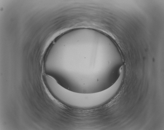 X0000061721515200512231355