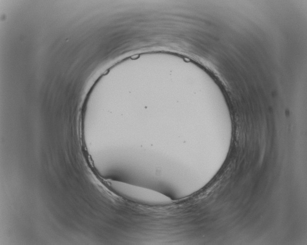 X0000061721516200512231355