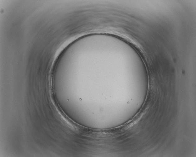 X0000061721517200512231355