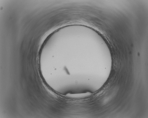 X0000061721519200512231355