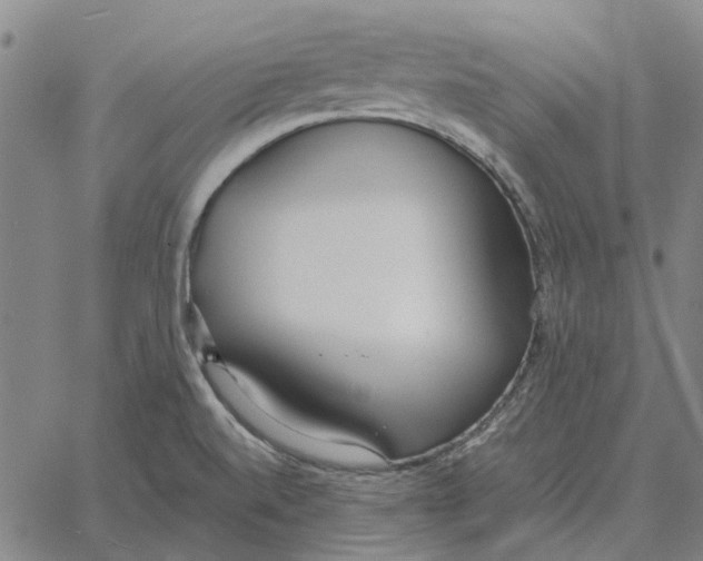 X0000061721520200512231355