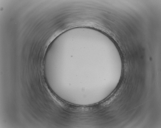 X0000061721521200512231355