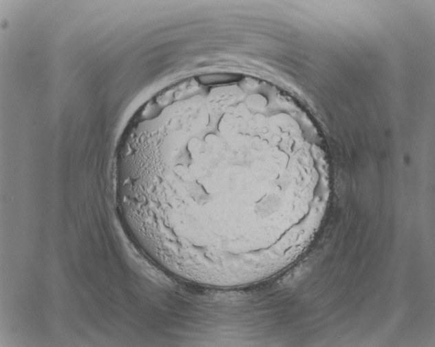 X0000061721522200512231355