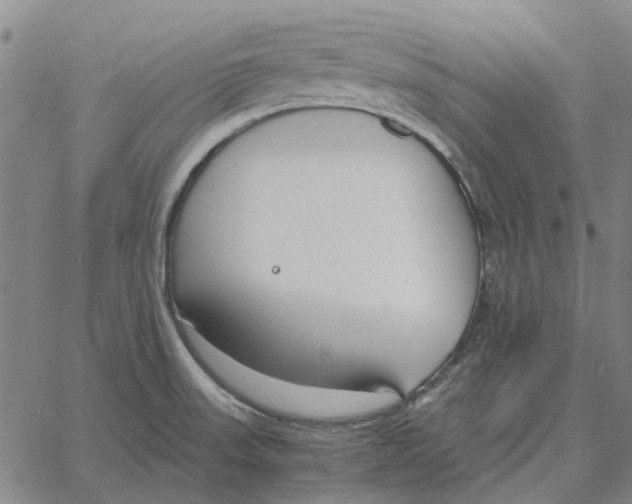 X0000061721523200512231355