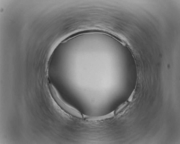 X0000061721524200512231355