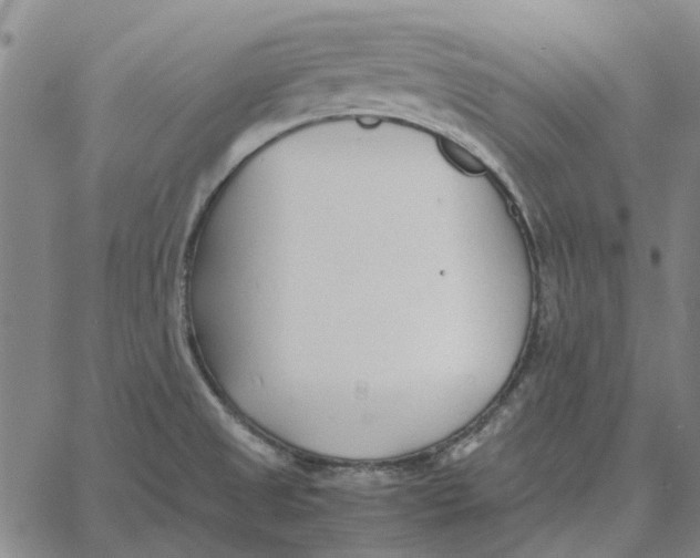 X0000061721525200512231355