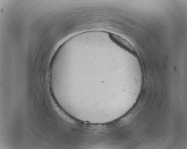 X0000061721526200512231355