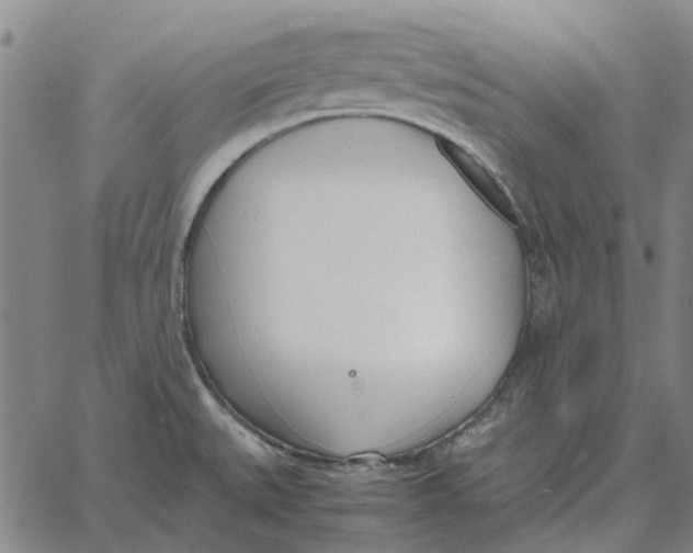 X0000061721527200512231355