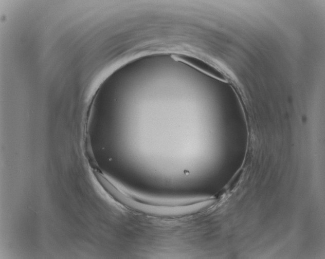 X0000061721528200512231355