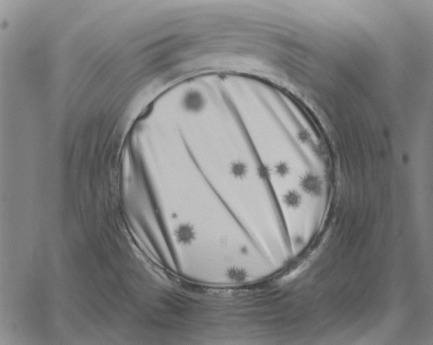 X0000061721529200512231355