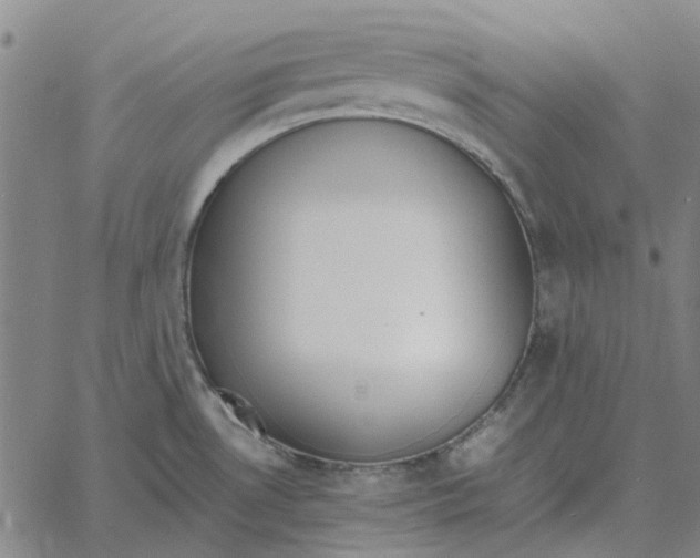 X0000061721530200512231356