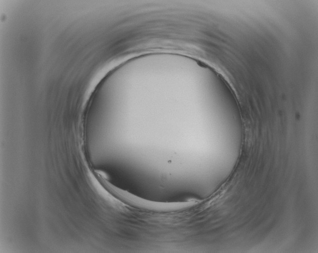 X0000061721531200512231356