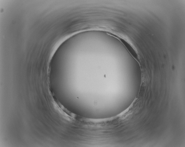 X0000061721532200512231356