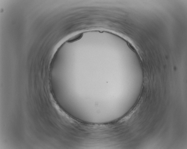 X0000061721534200512231356