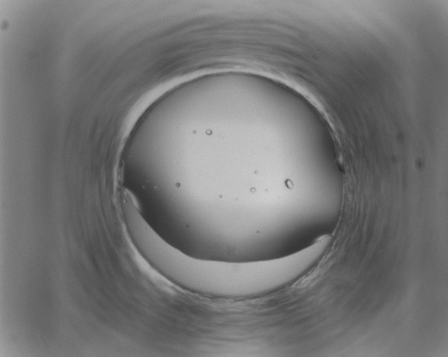 X0000061721535200512231356