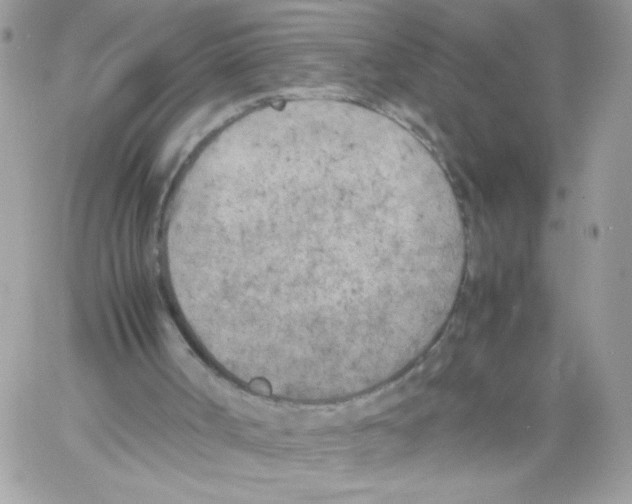 X0000061720002200512302132