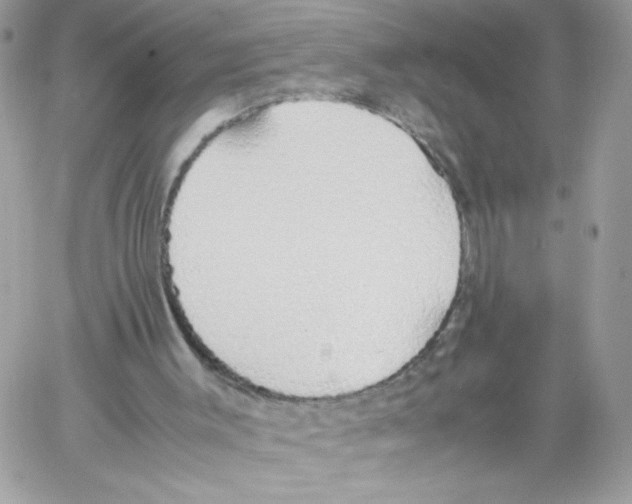 X0000061720003200512302132