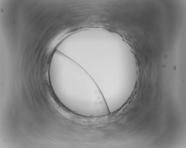 X0000061720005200512302132